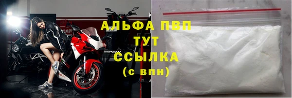 ГАЛЛЮЦИНОГЕННЫЕ ГРИБЫ Заволжье