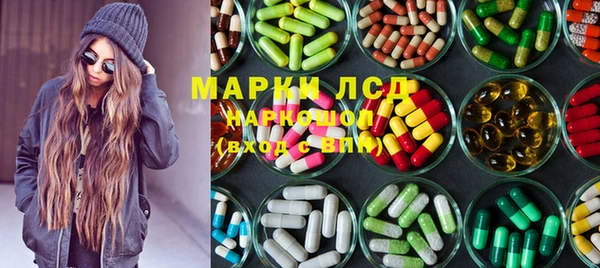 ГАЛЛЮЦИНОГЕННЫЕ ГРИБЫ Заволжье