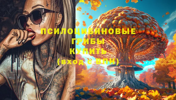 тгк Заводоуковск