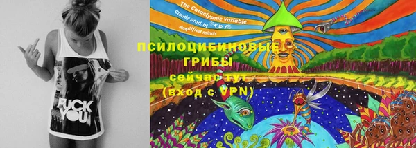 альфа пвп Заволжск
