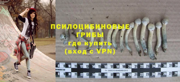 альфа пвп Заволжск