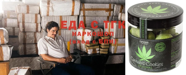 ГАЛЛЮЦИНОГЕННЫЕ ГРИБЫ Заволжье