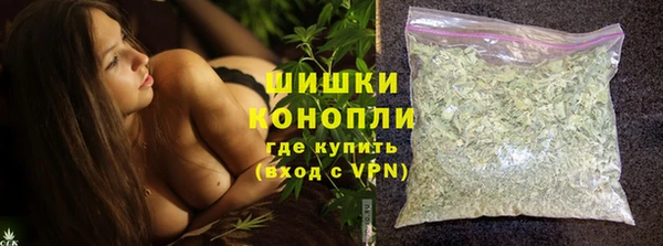 ГАЛЛЮЦИНОГЕННЫЕ ГРИБЫ Заволжье