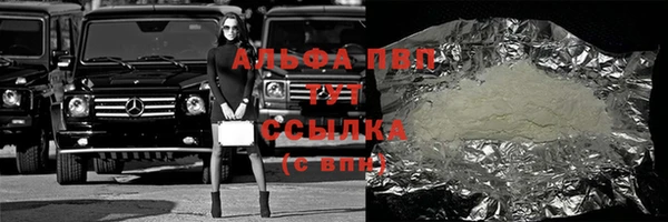 ГАЛЛЮЦИНОГЕННЫЕ ГРИБЫ Заволжье